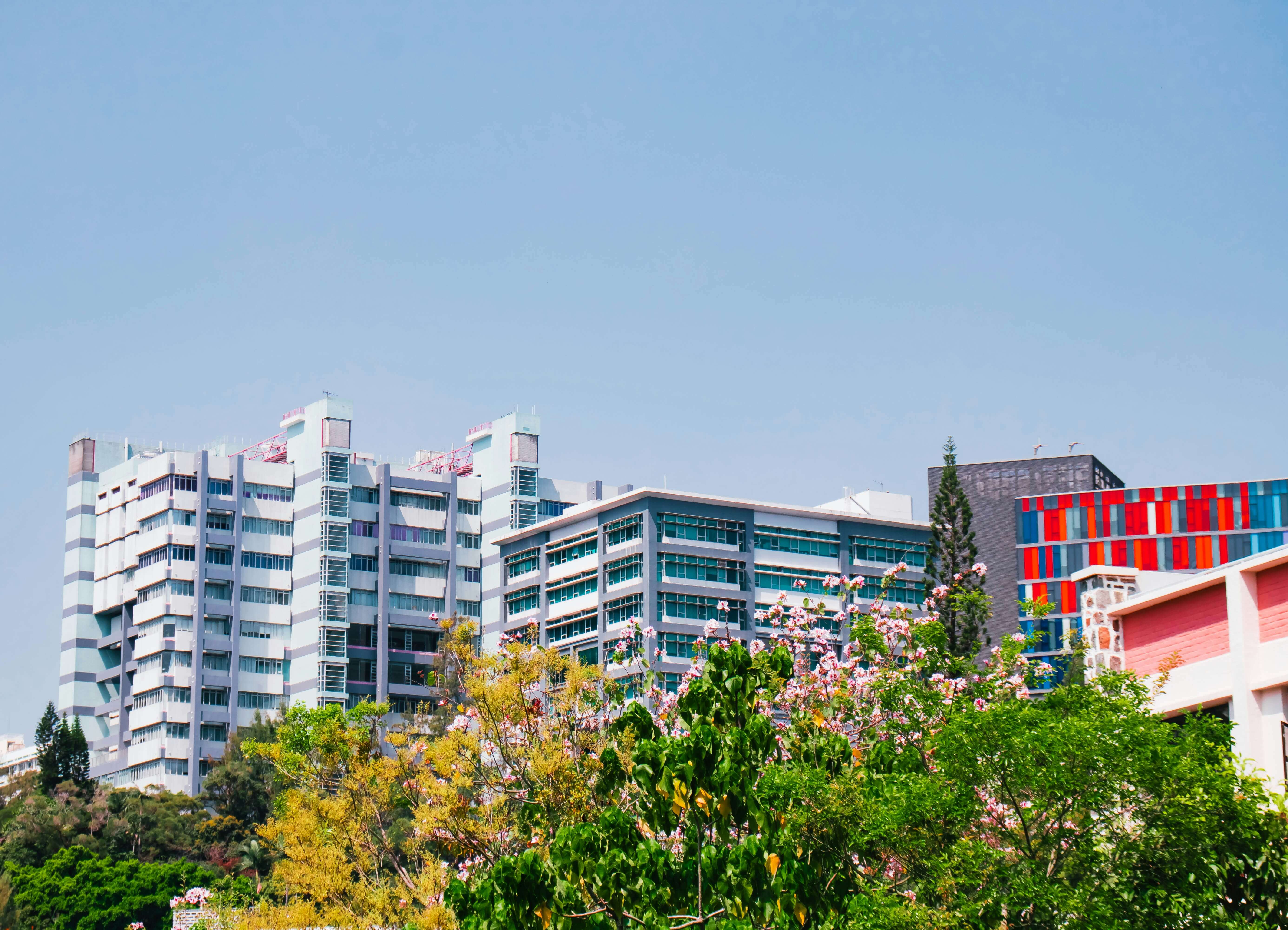 Card Background Image